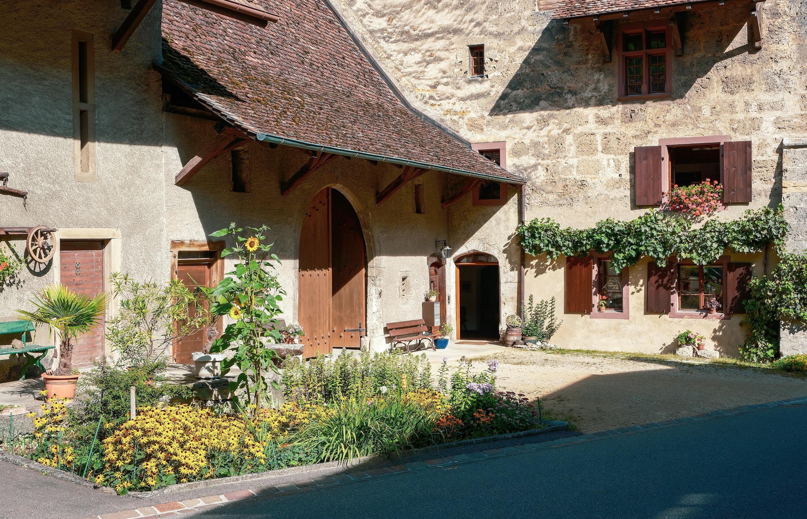 Maison en viager immobilier